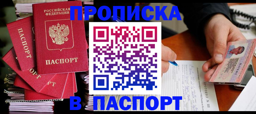 временная регистрация гарантия в Палласовке